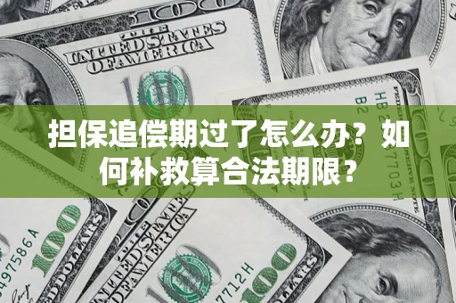 济南担保追偿期过了怎么办？如何补救算合法期限？