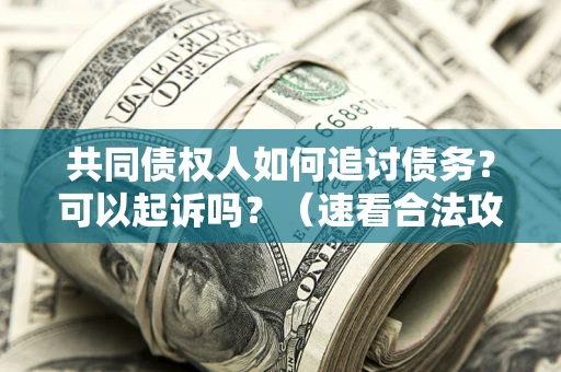济南共同债权人如何追讨债务？可以起诉吗？（速看合法攻略）